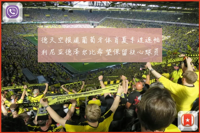 德天空报道葡萄牙体育夏季追逐帕利尼亚德泽尔比希望保留核心球员